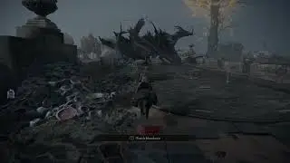 Elden Ring - Greyoll's Dragonbarrow Farm - 2000 runes in 10 seconds Guide