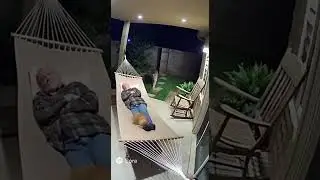 CAT Stops LEOPARD Attack on Old Man😱The Brave Whisker😱 #animals #pet  #cat