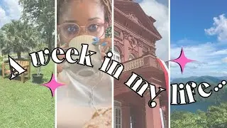 A week in my life | Trinidad and Tobago Vlog | Cricket | Art | Korean BBQ | Friends Lime | Beach Run