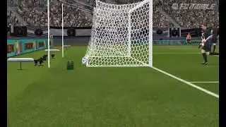 What a goal by Zardes 🥶🐐