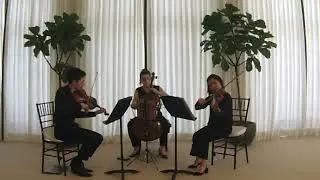 The VISION Collective - Beethoven String Trio in C minor (III. Scherzo &ndash; Allegro molto e vivace)