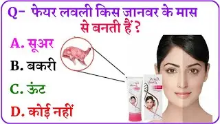 Gk Questions | Gk in Hindi | Gk Quiz | Gk Questions and answers 