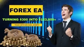 Best Forex EA 2025   Live Trading Results + Backtest   Forex Robot MT4 MT5 Expert Advisor