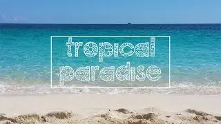 TROPICAL PARADISE ll andyvcoolio