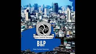 B&P Pest Control Services 