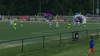 Cannon Cup G1-1