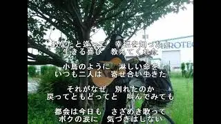 【cover】沢田研二ｻﾝ（ﾀｲｶﾞｰｽ）　「都会」♫ギター弾語り