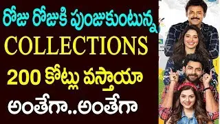 F2 movie collections | F2 movie collections report | world wide collections | tollywood updates |