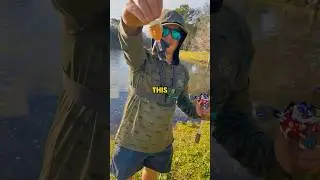 Trump lure for the win! #shorts #bassfishing