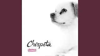 Chispita