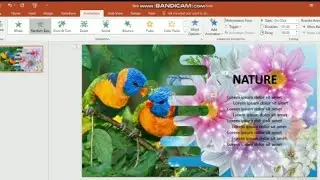 Powerpoint animation