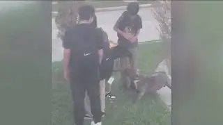 Parents share how kids doing after dog attacks them on school bus