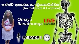Student Help | Live Classes | Biology | Animal Form & Function | Episode 1