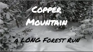 Tight Forest Run at Copper Mountain -- 