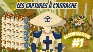 [Dofus Retro] 50 BOUFTOU ROYAL : LES CAPTURES &Agrave; L'ARRACHE #01