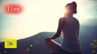 Live broadcast of the best melodies for meditation and sleep is here!