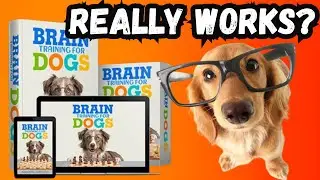 Brain Training For Dogs Review 2025 🐶 - Dog Obedience Program That Actually Works at Home