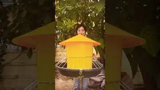 No-Spill Poultry Feeder for Chickens, Ducks & Geese #shortsfeed #diytools