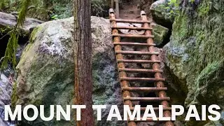 Mount Tamalpais State Park | Dipsea to Steep Ravine Trail Loop | Hiking