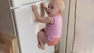 Funny Baby Videos You Can’t Stop Laughing At 🤣 Try Not to Laugh Challenge