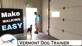 SWISS MOUNTAIN DOG going for FOR A WALK WITH NO COMMANDS