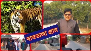 বাঘডাঙ্গা গ্রাম চাঁপাইনবাবগঞ্জ | chapai nawabganj village |