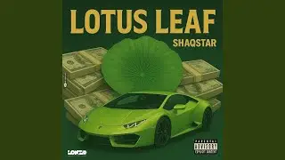 Lotus Leaf