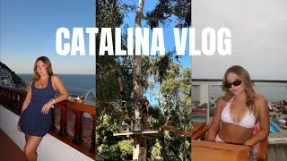 a weekend in catalina | SENIORITIS EP 3