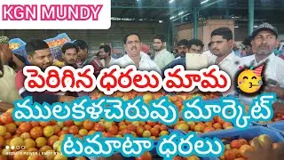 02/02/25 Mulakalacheruvu Tomato Market price Today || Today Tomato Market rate in Mulakalacheruvu