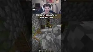 Minecraft камуфляж прятки