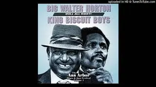 Ann Arbor Blues Festival  - Dr. Downchild - Joe Willie Wilkins & King Biscuit Boys