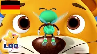 Kinderlieder | Das Lied von der Fliege | Little Baby Bum Junior Deutsch