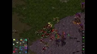 Brood War The Hunters: Zerg Wars