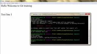 Git Checkout