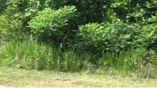 Lot 23 Pepper Court, Seneca, SC 29678