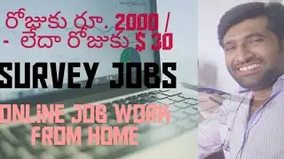 Paidera| work from home|Easy Part Time Job|Work from Home | Earn Money Online by attending surveys