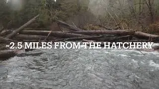 Eagle Creek 1/3/25