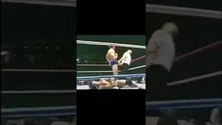 The Best Ref Bump Ever?
