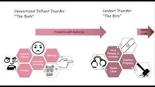 Disruptive Behavior Disorders Snapshot