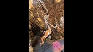 Peter and the Wolf v11