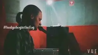 hedgehog in the fog - draft 2