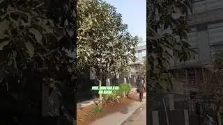 pune main kha ka location hai #bhojpuri #sadiya #nilkamal_singh #song #explorepage #trending