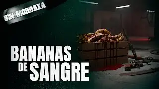 ¿BANANAS O COCA? El secreto más oscuro de Chiquita Brands | SIN MORDAZA