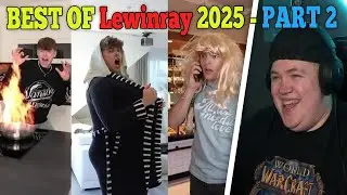 BEST OF Lewinray VIRALE Shorts 2025 - Teil 2 | REAKTION