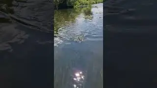 Ten atak wyrwał mi prawie much&oacute;wkę z ręki