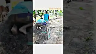 #1kviews gys plese 🥺👍#short #shortfeed#bikesong #biklover #bikerider #bike #rider#song #newsong👍🥺