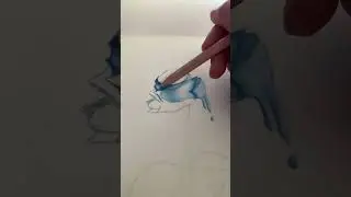 Drawing a blue rose