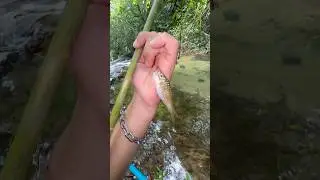 Создание примитивной удочки