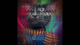 Magic #Personacats tinyurl.com/personacats #NFTMINT #nftart #nft #nfts