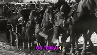 The Horses of World War 2